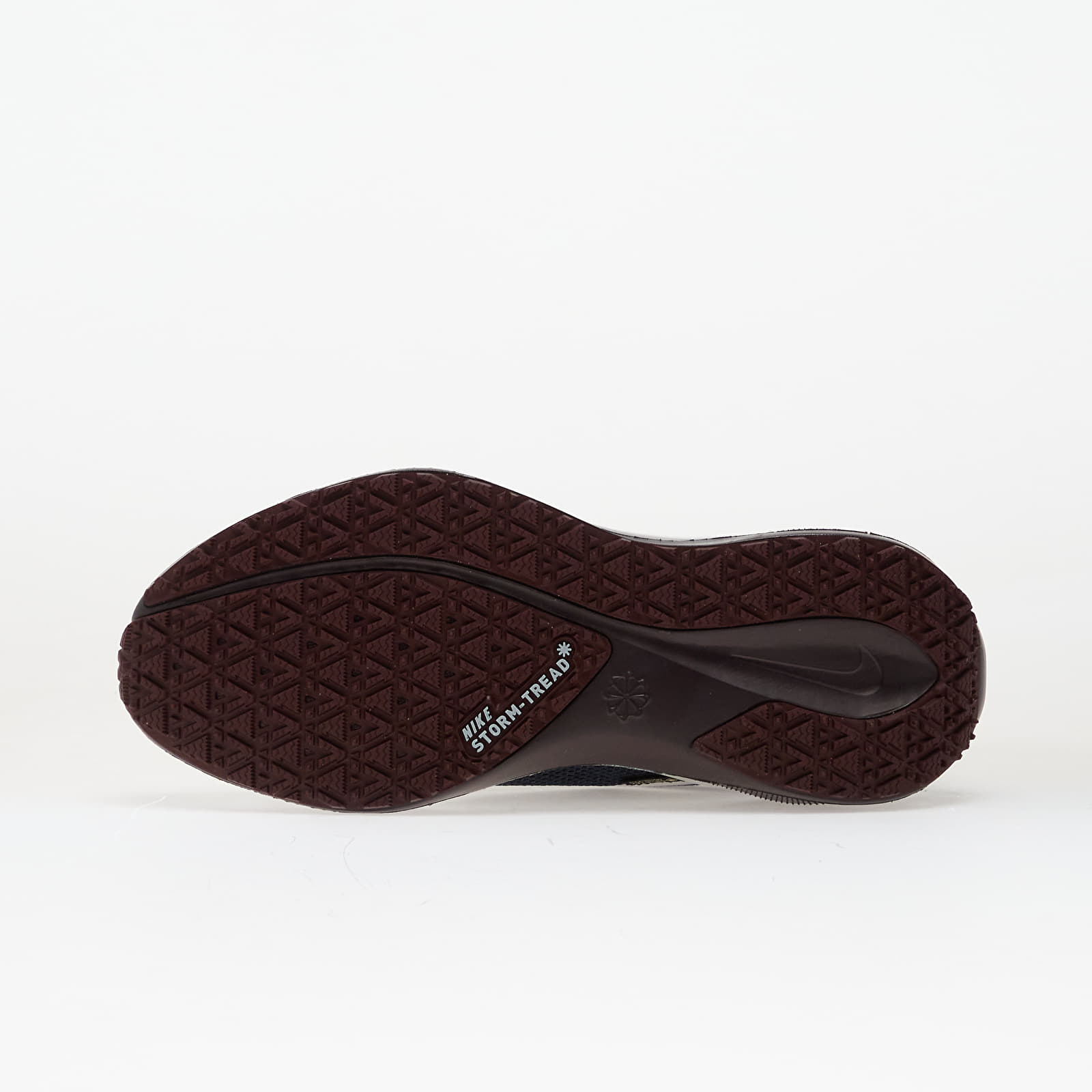 Sieviešu kedas un apavi Nike Pegasus 41 Gore-Tex Dark Obsidian/ Pure Platinum-Black