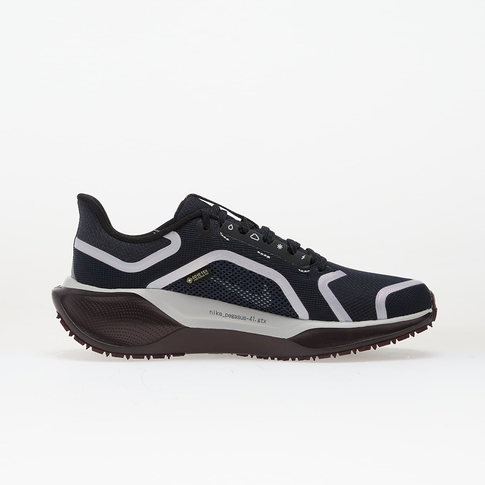 Sieviešu kedas un apavi Nike Pegasus 41 Gore-Tex Dark Obsidian/ Pure Platinum-Black