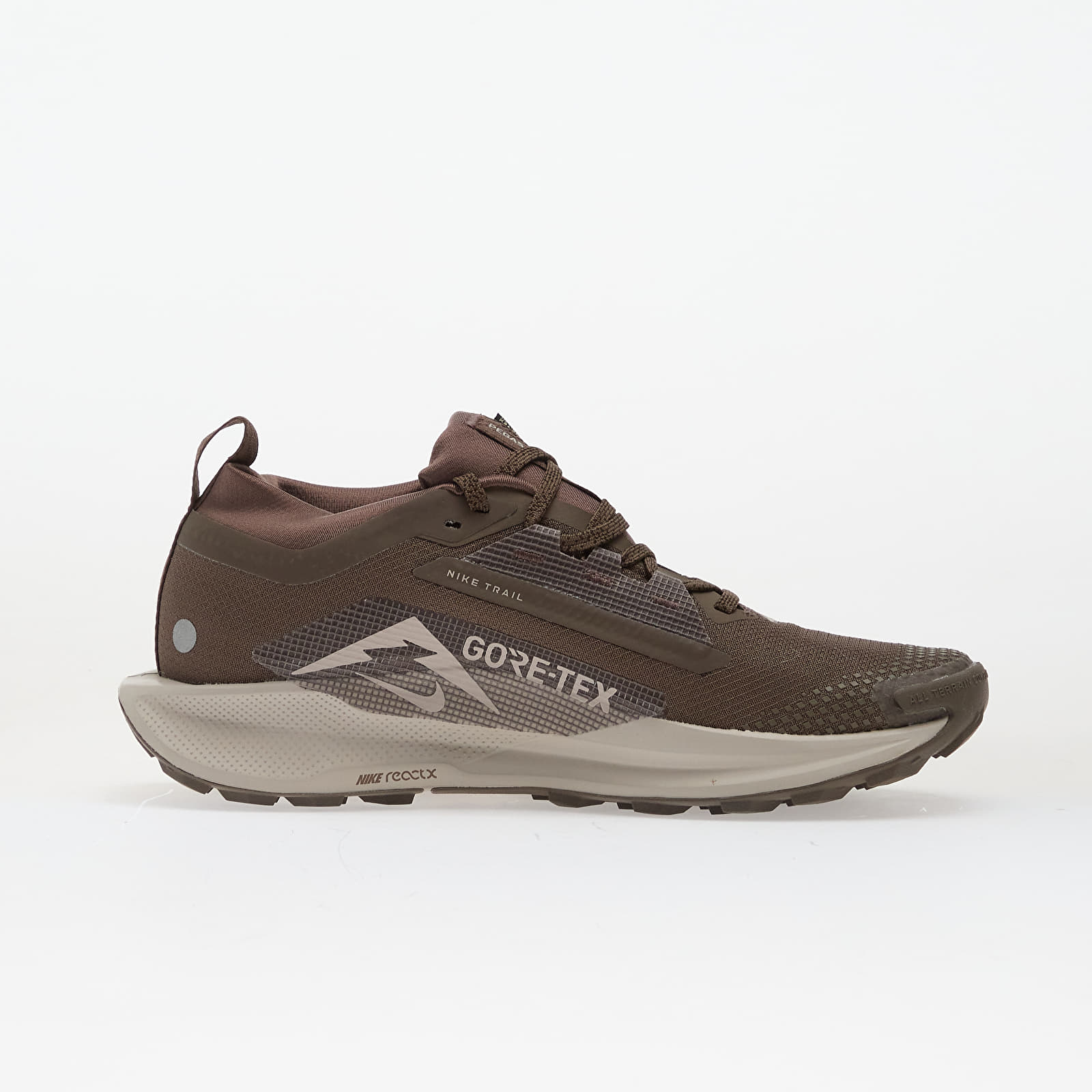 Sieviešu kedas un apavi Nike Pegasus Trail 5 Gore-Tex Ironstone/ College Grey-Velvet Brown
