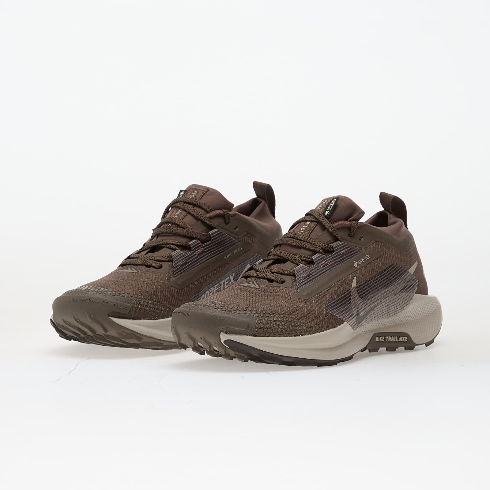 Sieviešu kedas un apavi Nike Pegasus Trail 5 Gore-Tex Ironstone/ College Grey-Velvet Brown