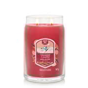 Yankee Candle Signature Large Jar 2 Wicks Santa On Skis