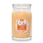 Yankee Candle Signature Large Jar 2 Wicks Slopeside Spritz