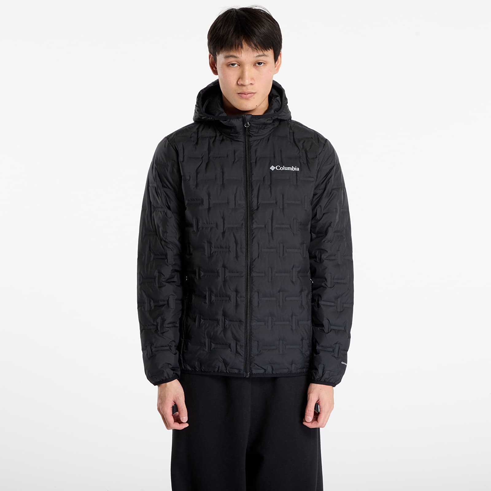 Pánské bundy Columbia Delta Ridge™ II Down Hooded Jacket Black