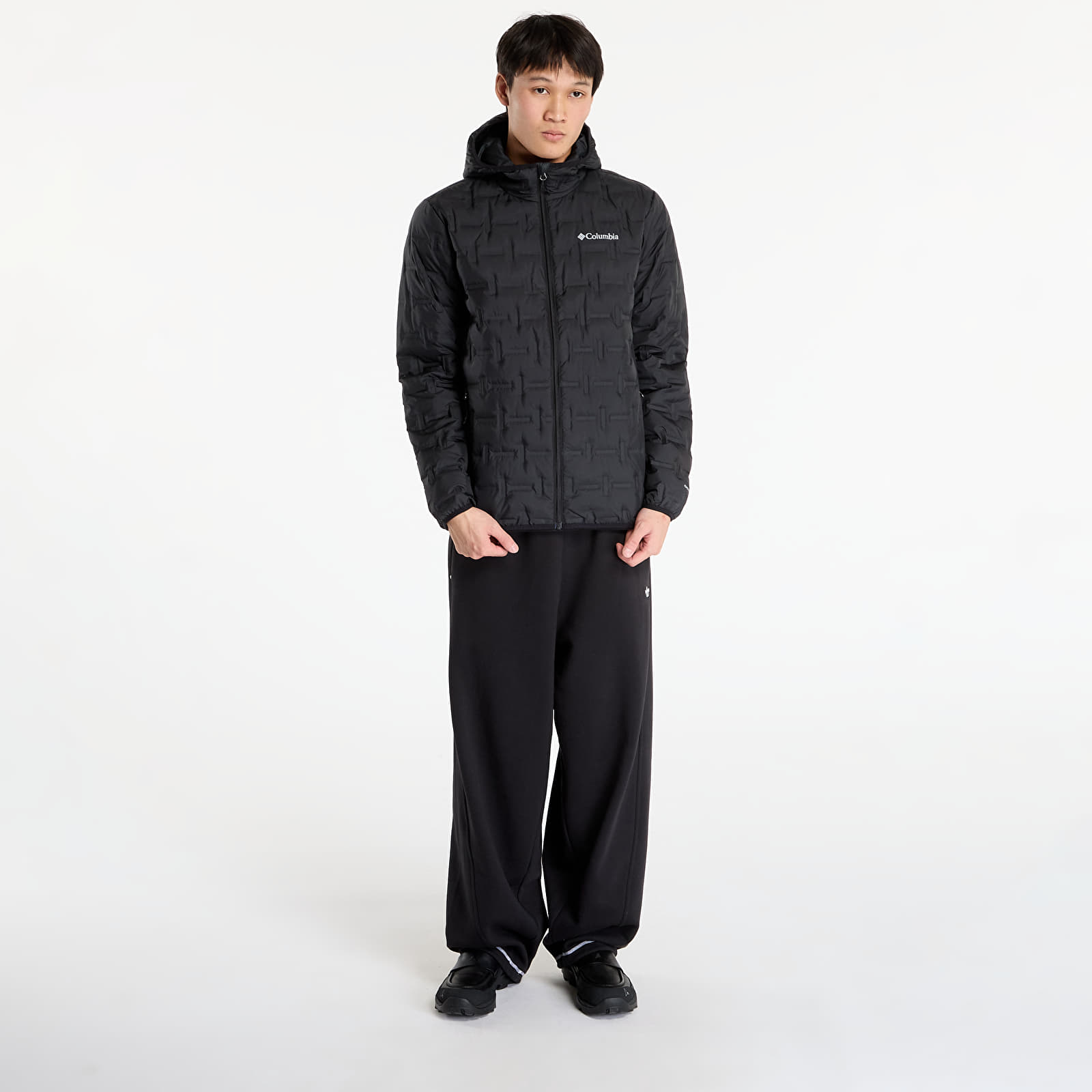 Pánské bundy Columbia Delta Ridge™ II Down Hooded Jacket Black