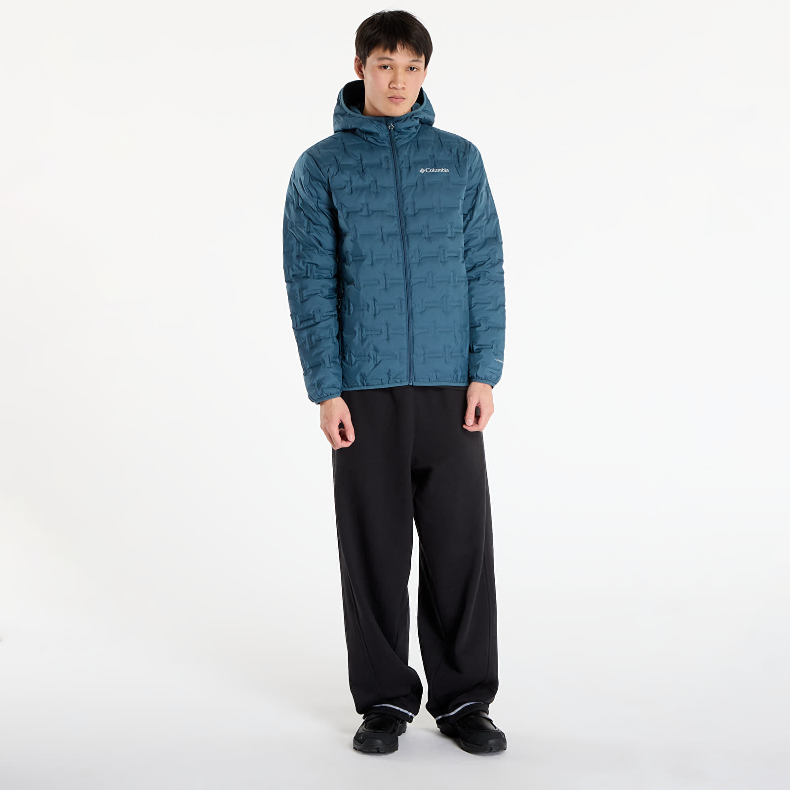 Pánské bundy Columbia Delta Ridge™ II Down Hooded Jacket Everblue
