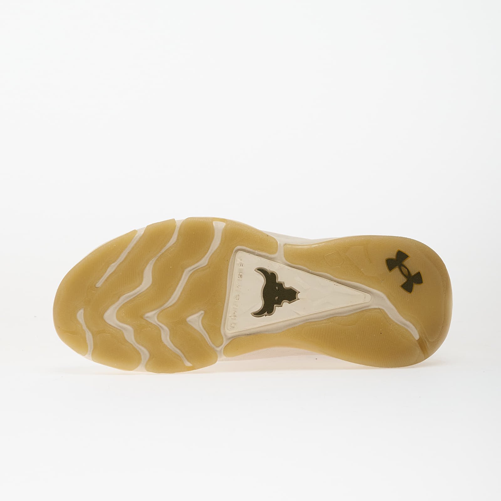 Γυναικεία παπούτσια Under Armour W Project Rock 8 Brown