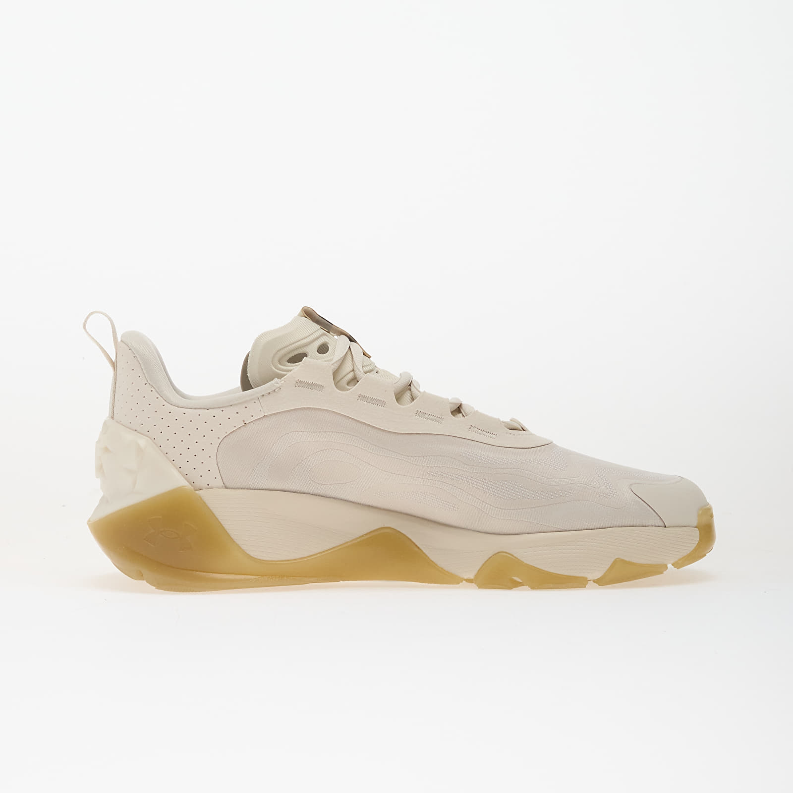 Γυναικεία παπούτσια Under Armour W Project Rock 8 Brown