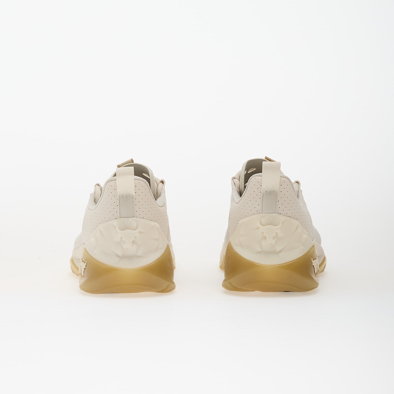 Γυναικεία παπούτσια Under Armour W Project Rock 8 Brown