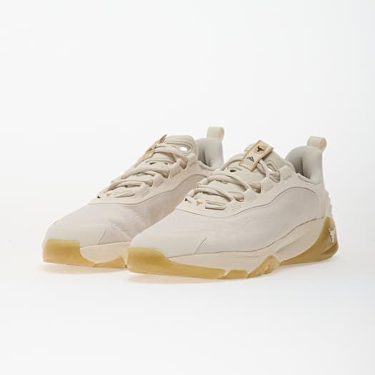 Under Armour W Project Rock 8 Brown | Queens