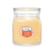 Yankee Candle Signature Medium Jar 2 Wicks Slopeside Spritz
