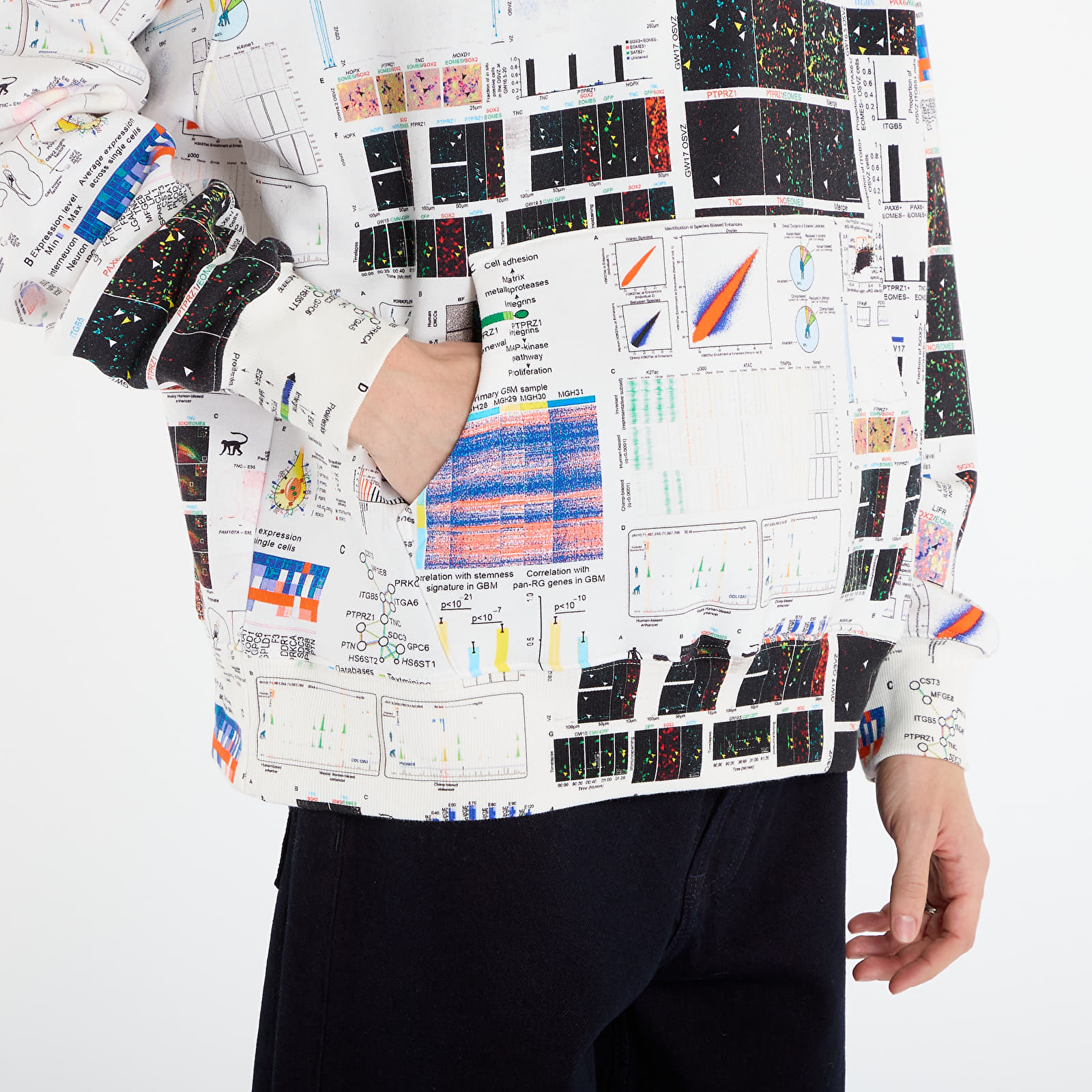 Muške dukserice PLEASURES Textbook Hoodie Multi