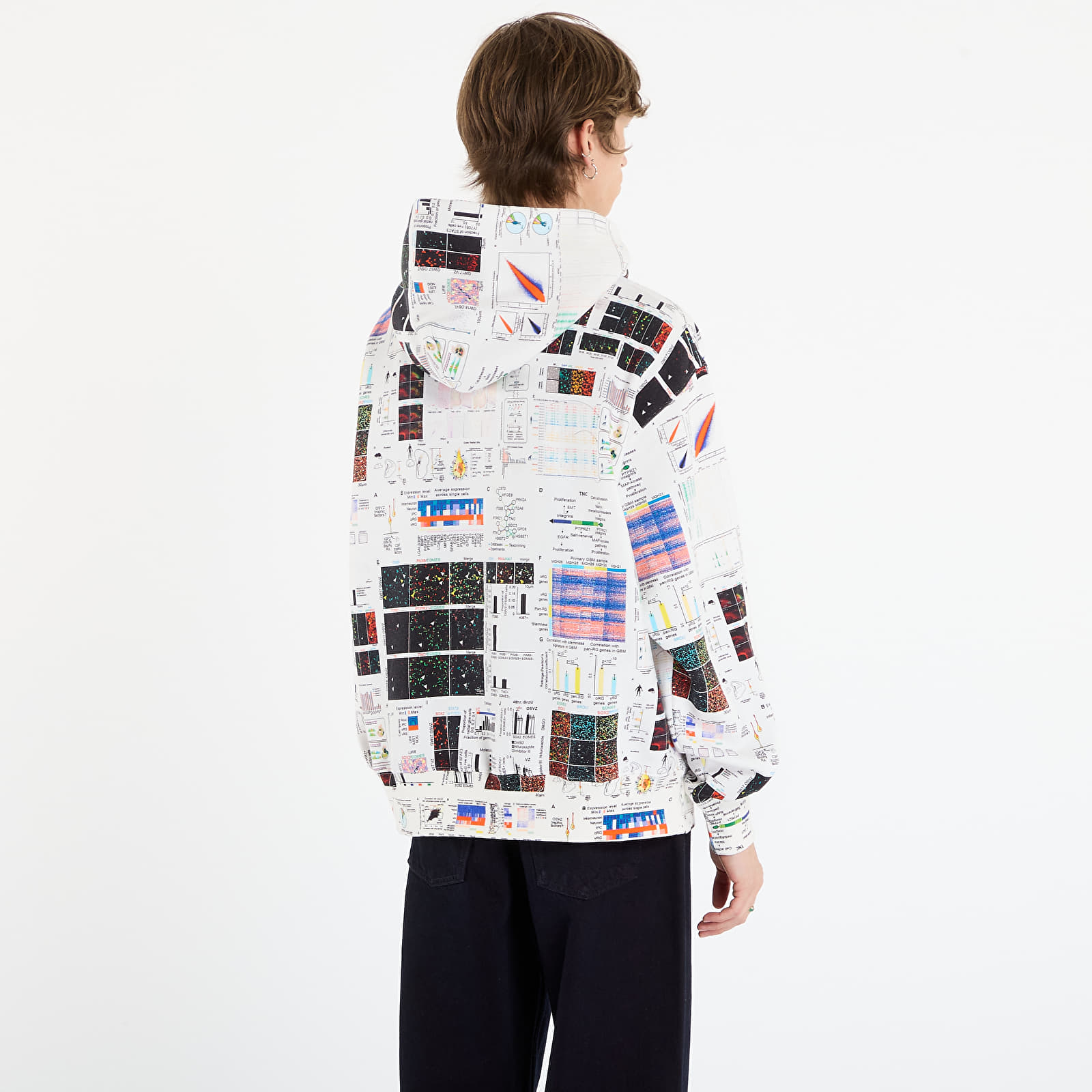 Muške dukserice PLEASURES Textbook Hoodie Multi