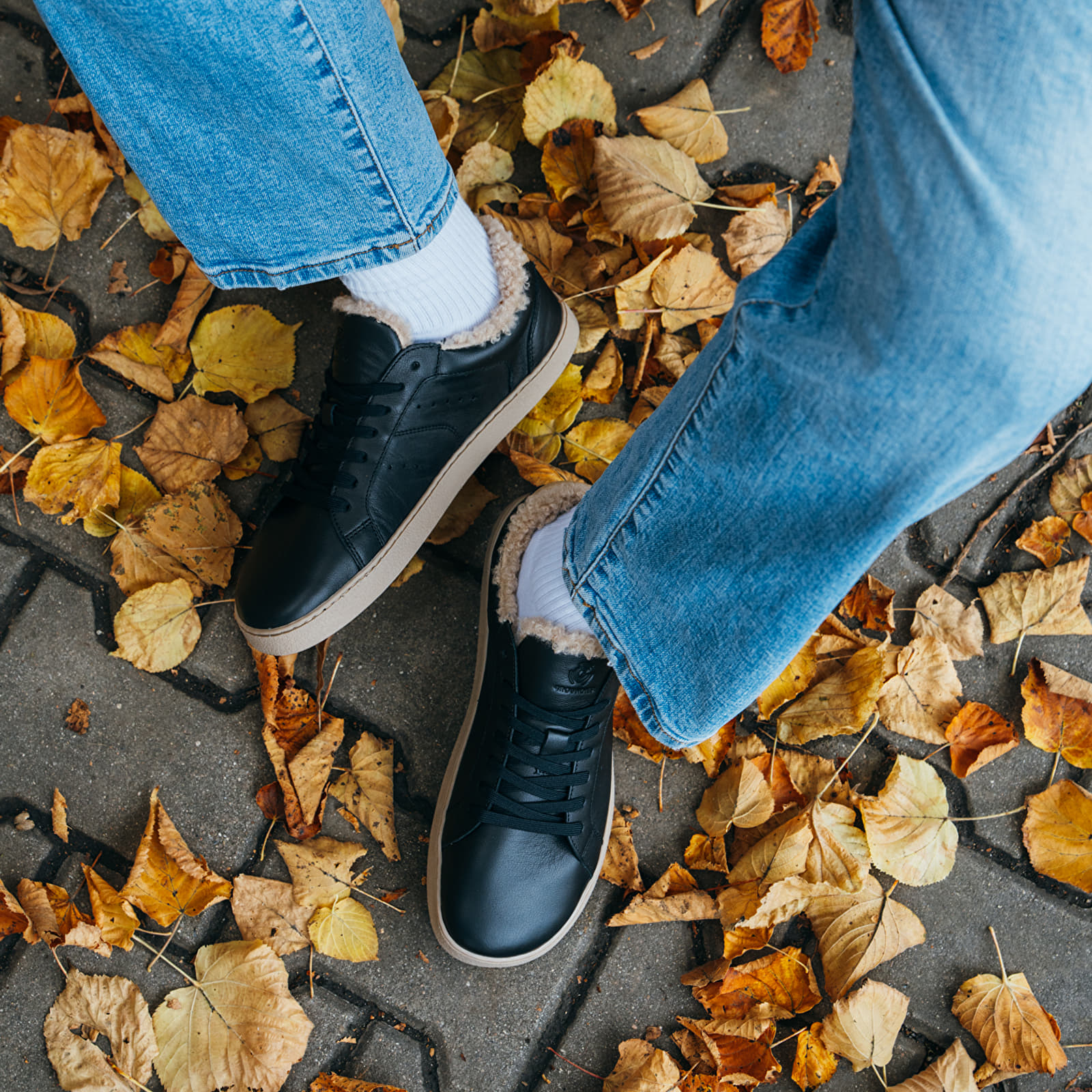 Women's sneakers and shoes Groundies Universe Teddy Women Black