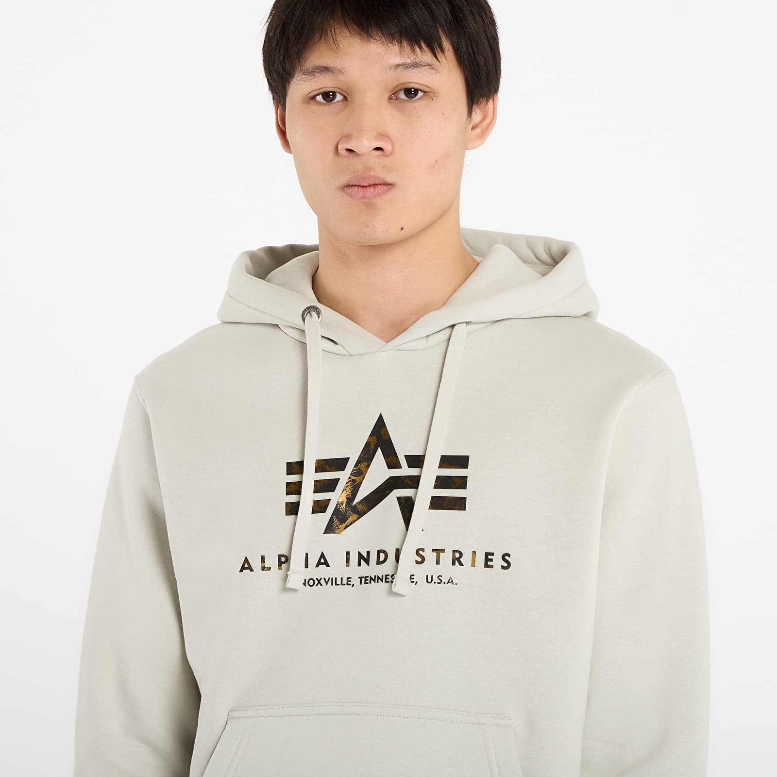 Pánské mikiny Alpha Industries Basic Hoodie BL Effect Print Stone