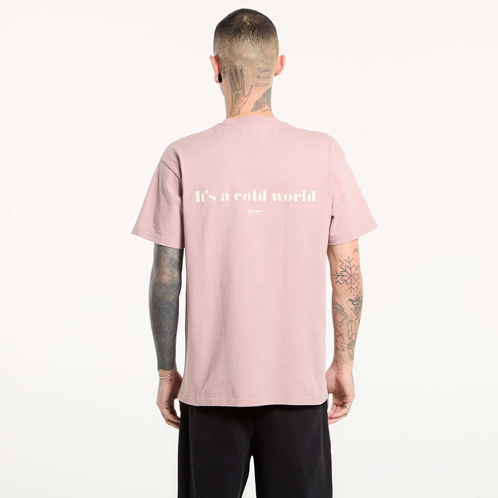 Мужские футболки Carhartt WIP S/S Cold World T-Shirt UNISEX Glassy Pink