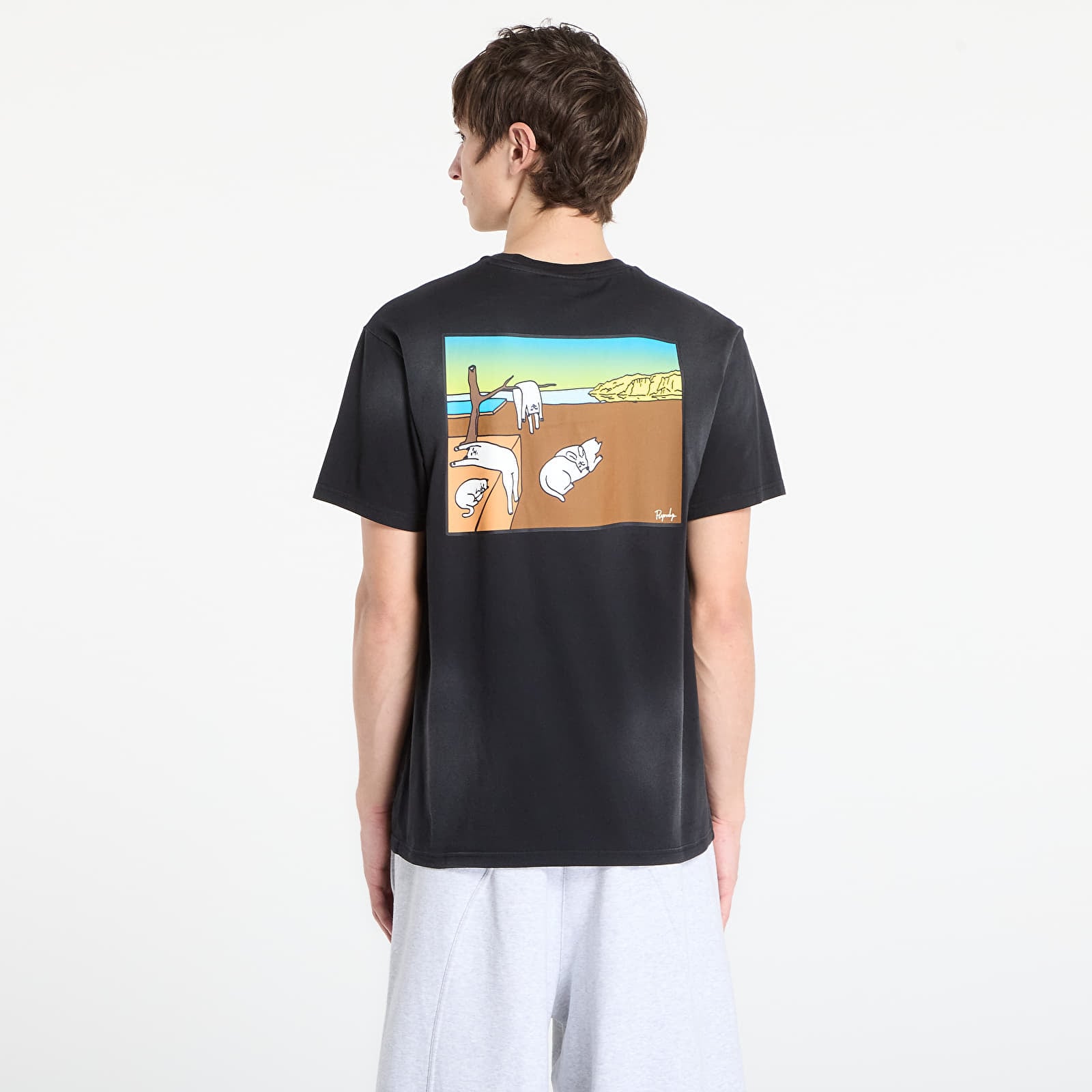 Tricouri  RIPNDIP Nermali Tee Black Vintage Wash