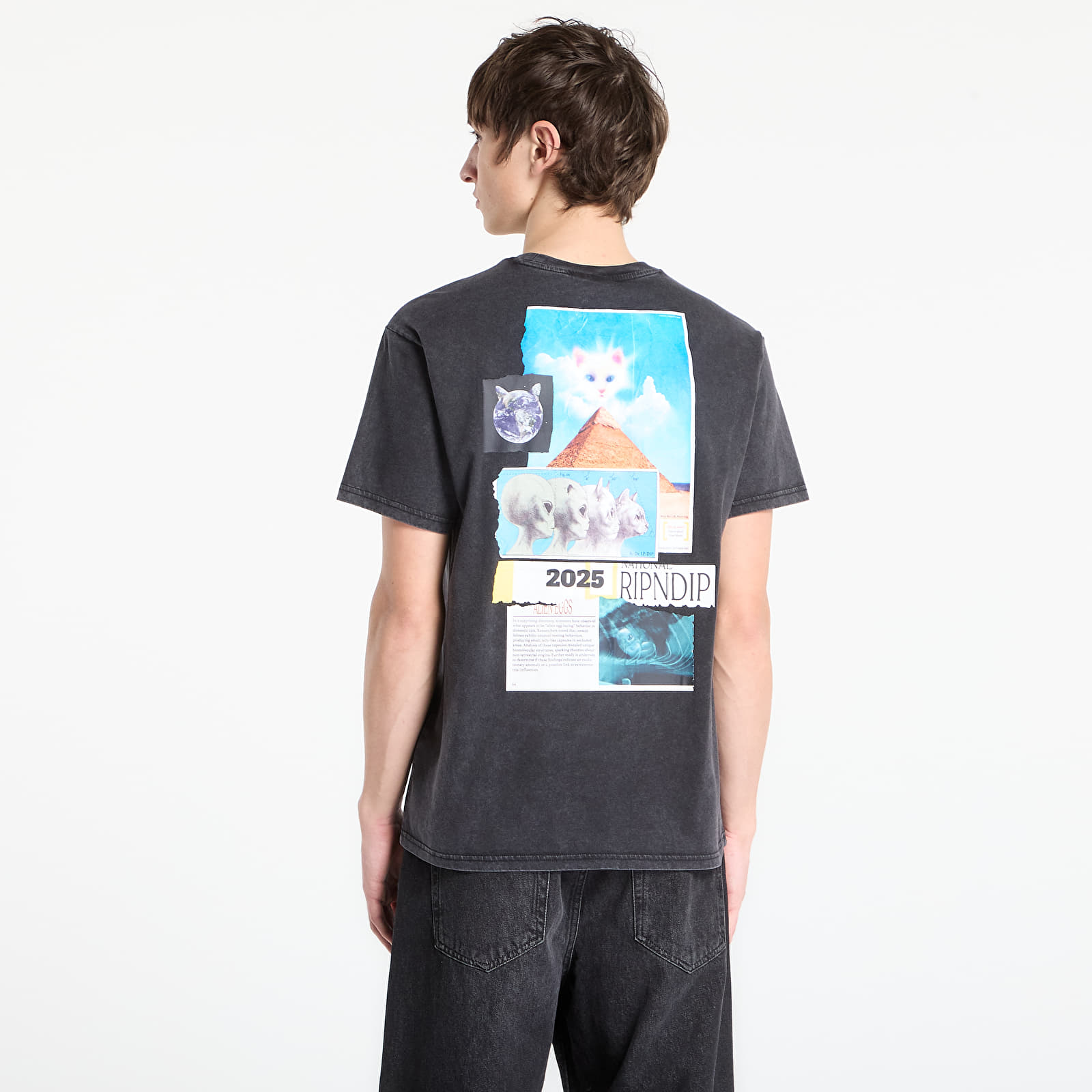 Tricouri  RIPNDIP Nerm Geo Tee Black Vintage Wash