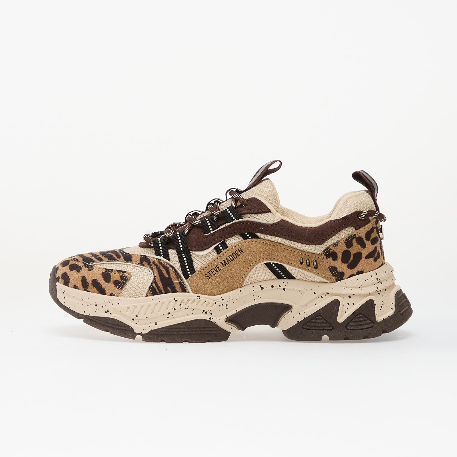 Sneakers und Schuhe für Frauen Steve Madden Animates-LE Brown Leopard