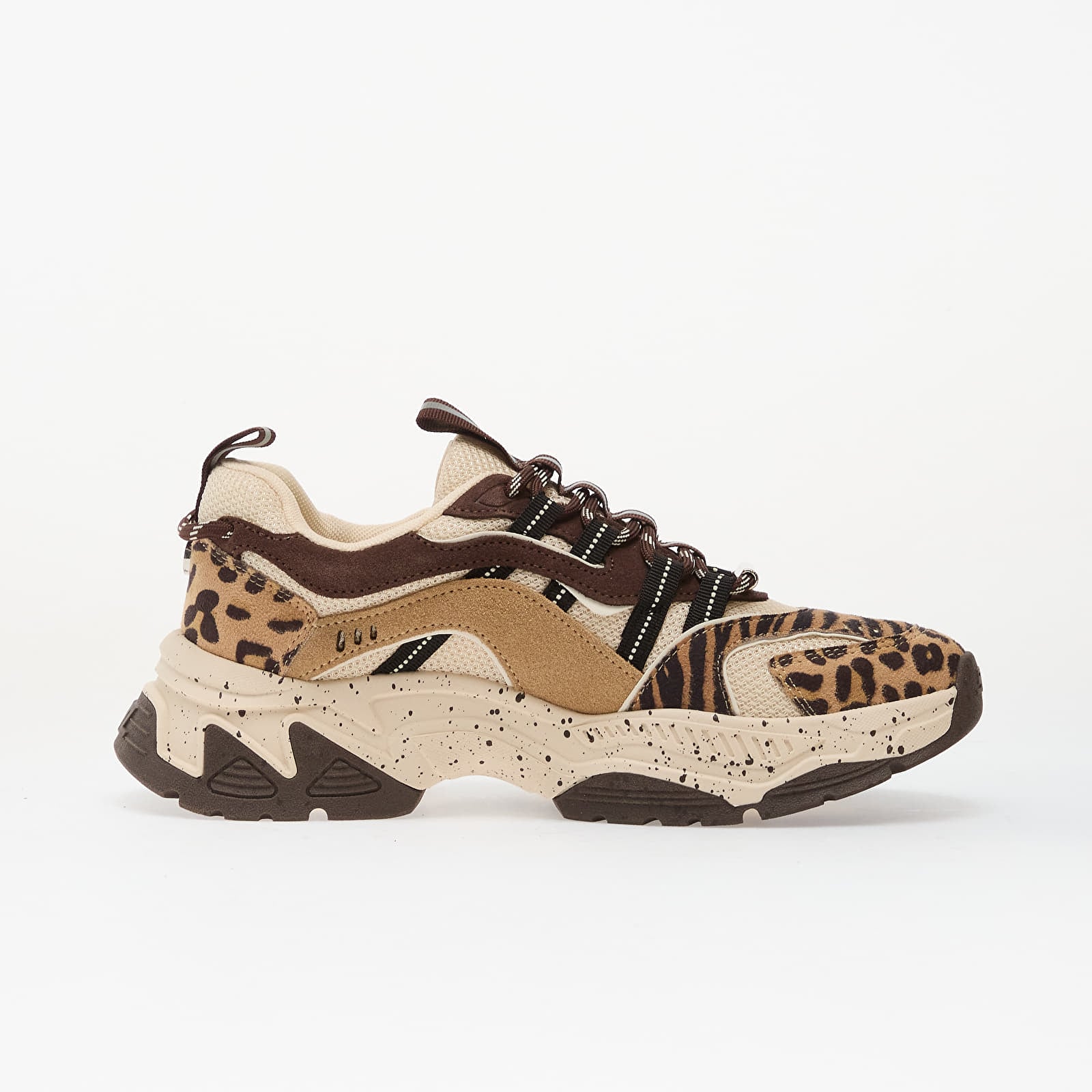 Sneakers und Schuhe für Frauen Steve Madden Animates-LE Brown Leopard