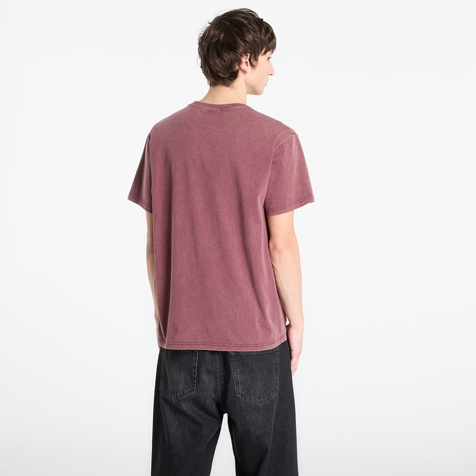 Vyriški marškinėliai RIPNDIP Lord Nermal Pocket Tee Burgundy Vintage Wash