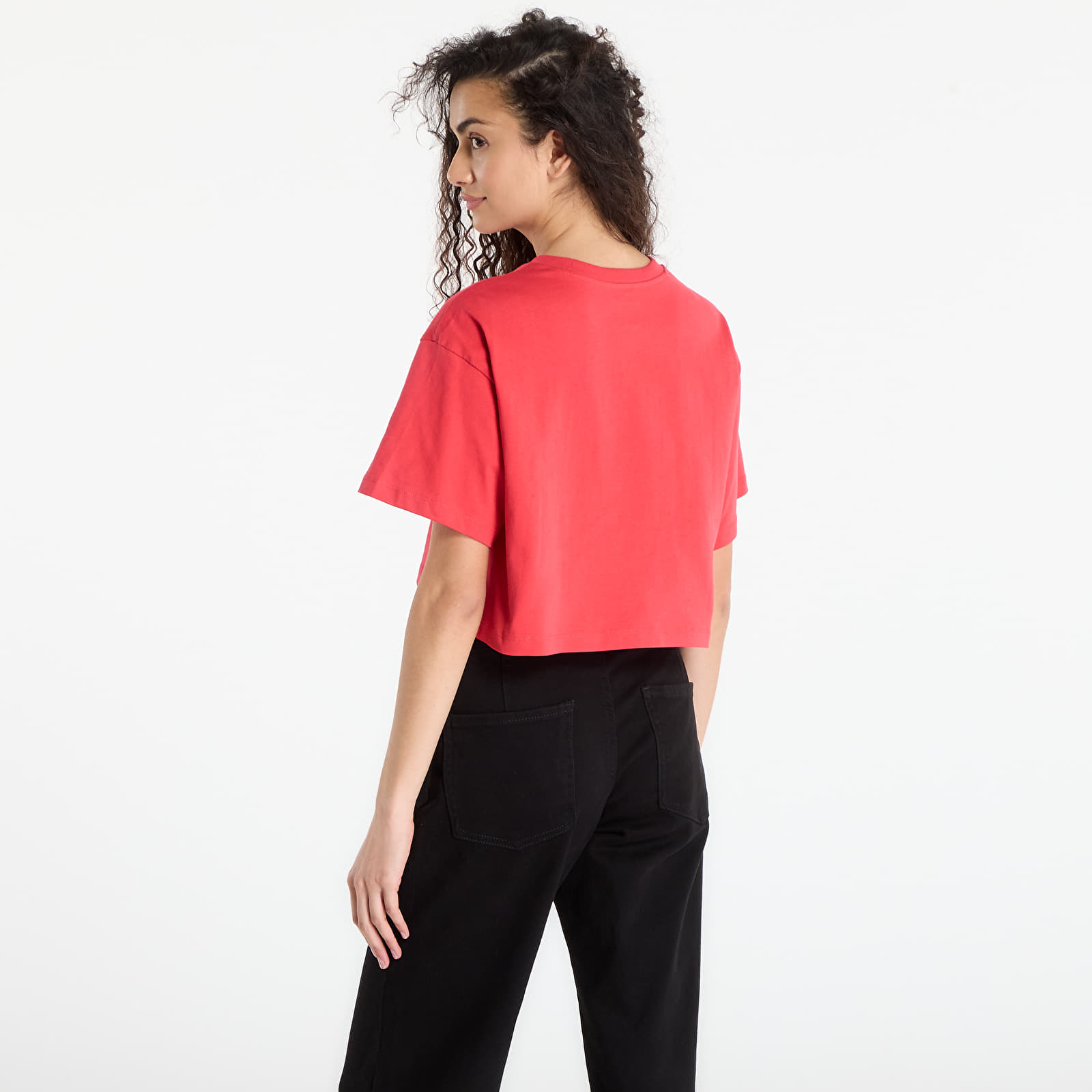   Μπλούζες Vans W Salton Relax Crop SS T-Shirt Crimson Haze