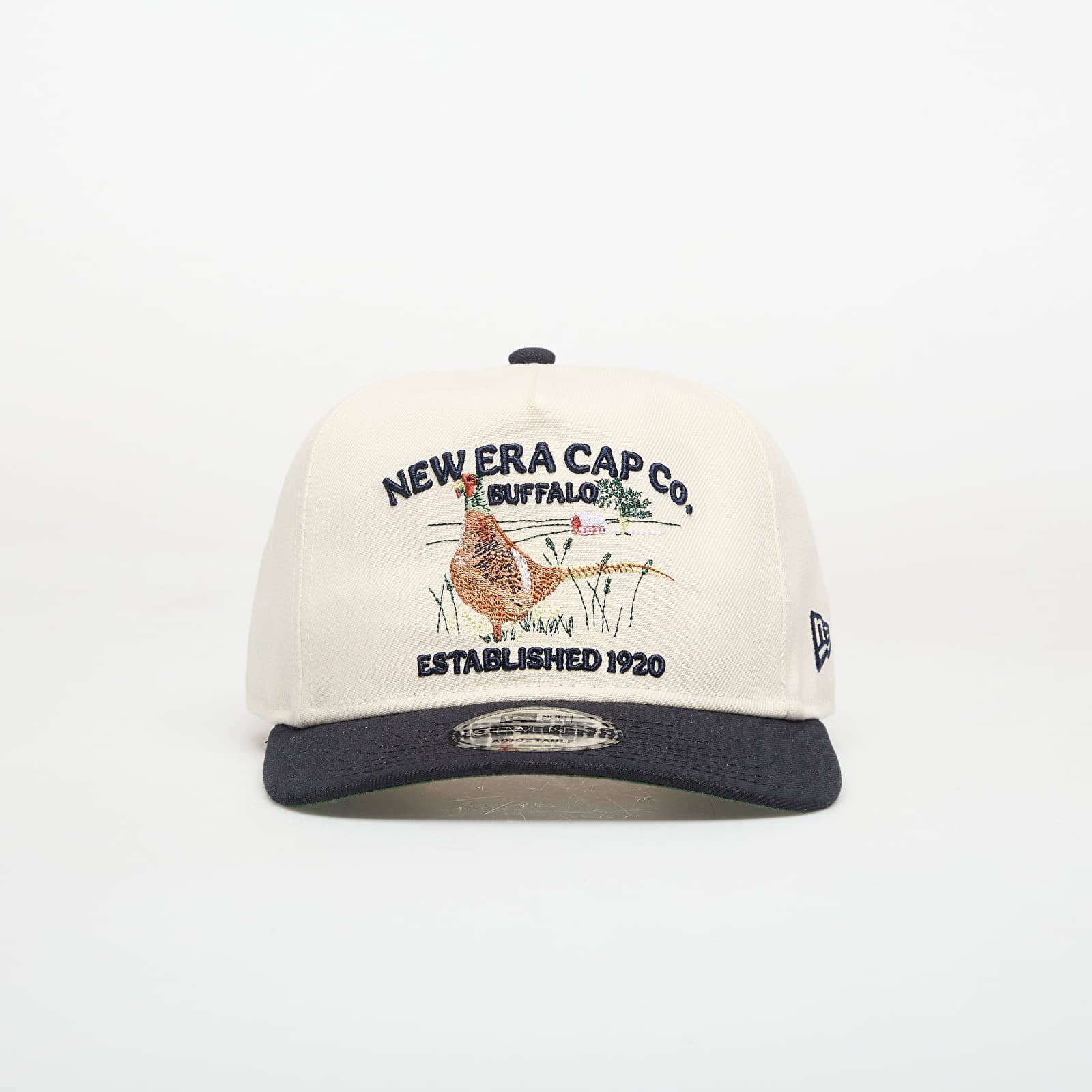 Cap New Era 19TWENTY Outdoor Graphic Light Cream/ Navy Universal