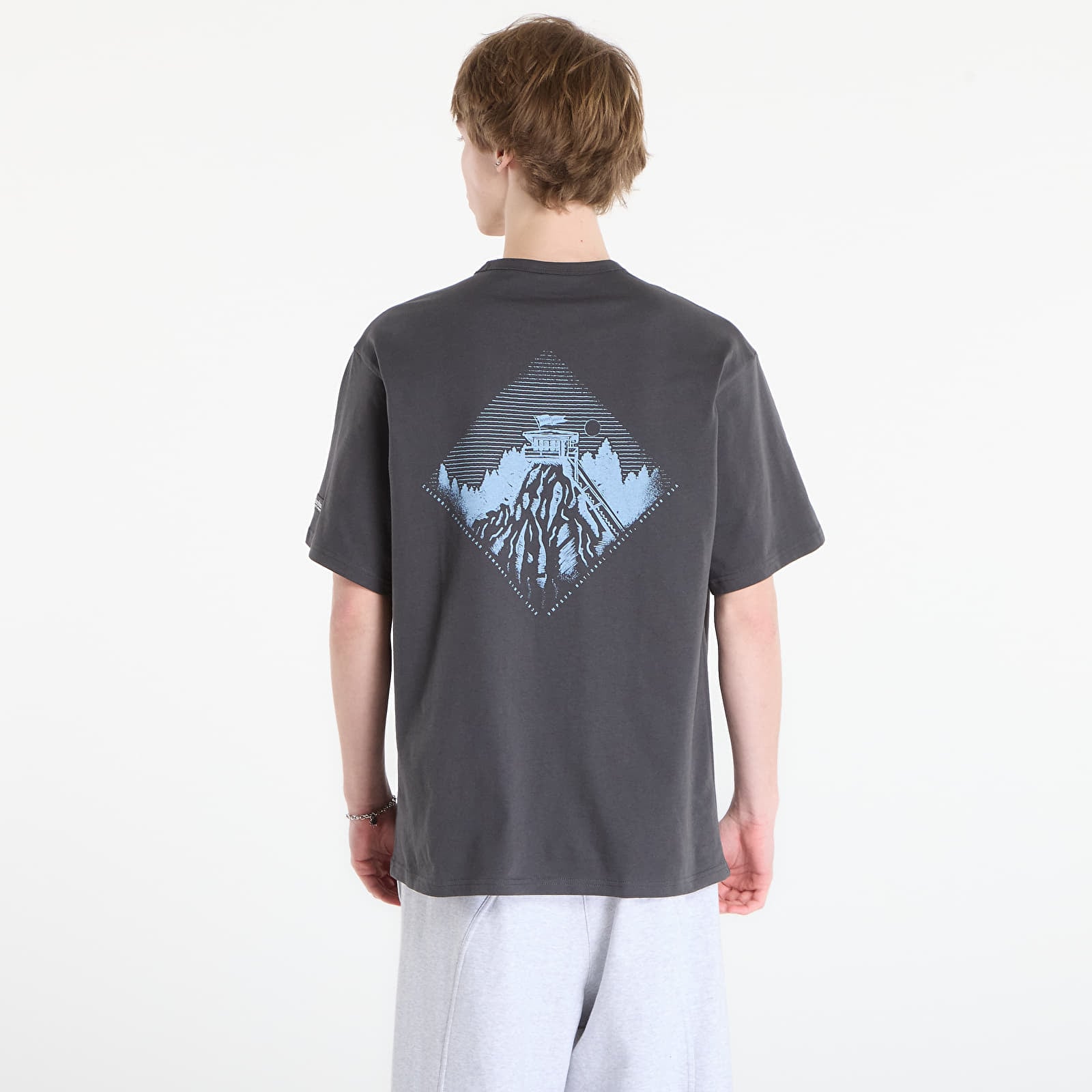 Vyriški marškinėliai Columbia Csc™ Heavyweight Back Graphic T-Shirt Shark/ Heritage