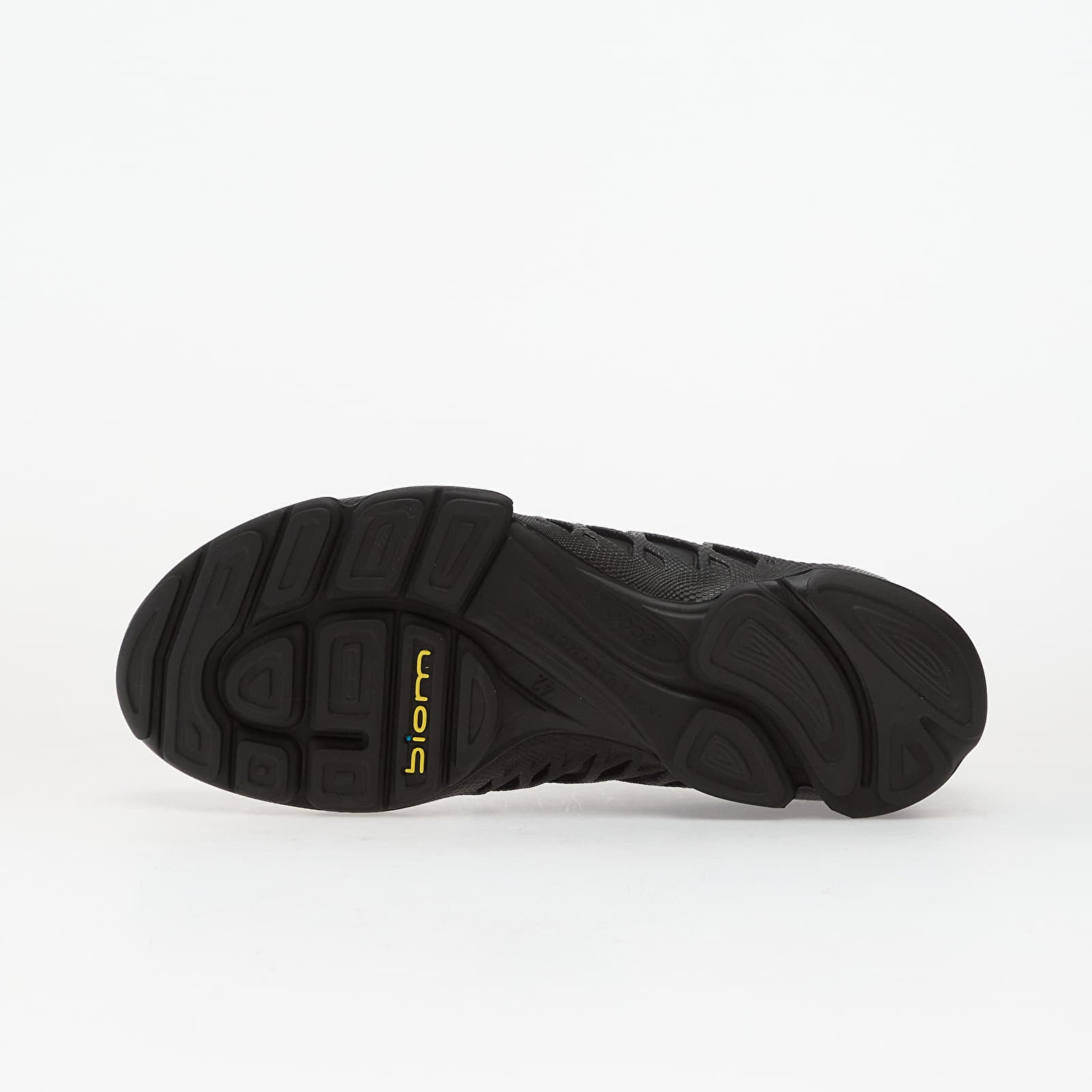 Men's sneakers and shoes ECCO Biom Aex M Black