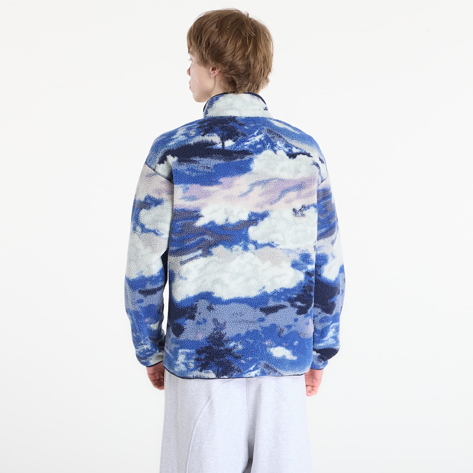 Meeste kampsunid Columbia Helvetia™ Half Snap Fleece With Print Collegiate Navy/ Dreaming