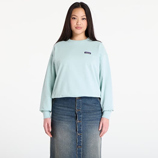 Sweatshirt Patagonia W's Daily Crew Thin Ice