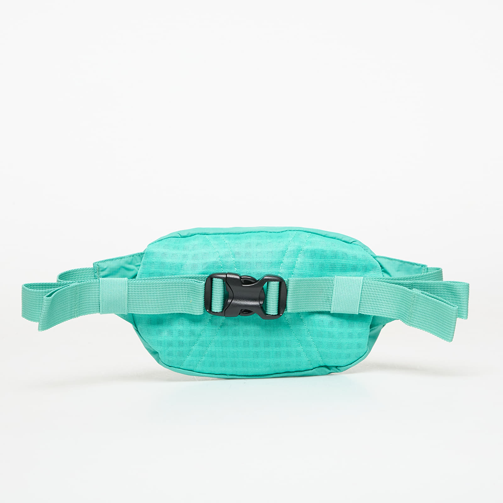 Ľadvinky Patagonia Terravia Mini Hip Pack Aqua Stone
