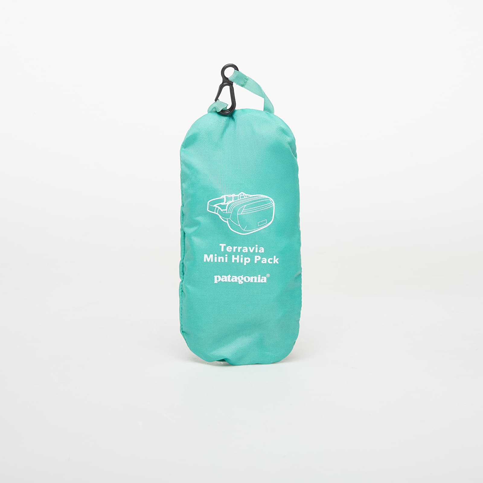 Ľadvinky Patagonia Terravia Mini Hip Pack Aqua Stone