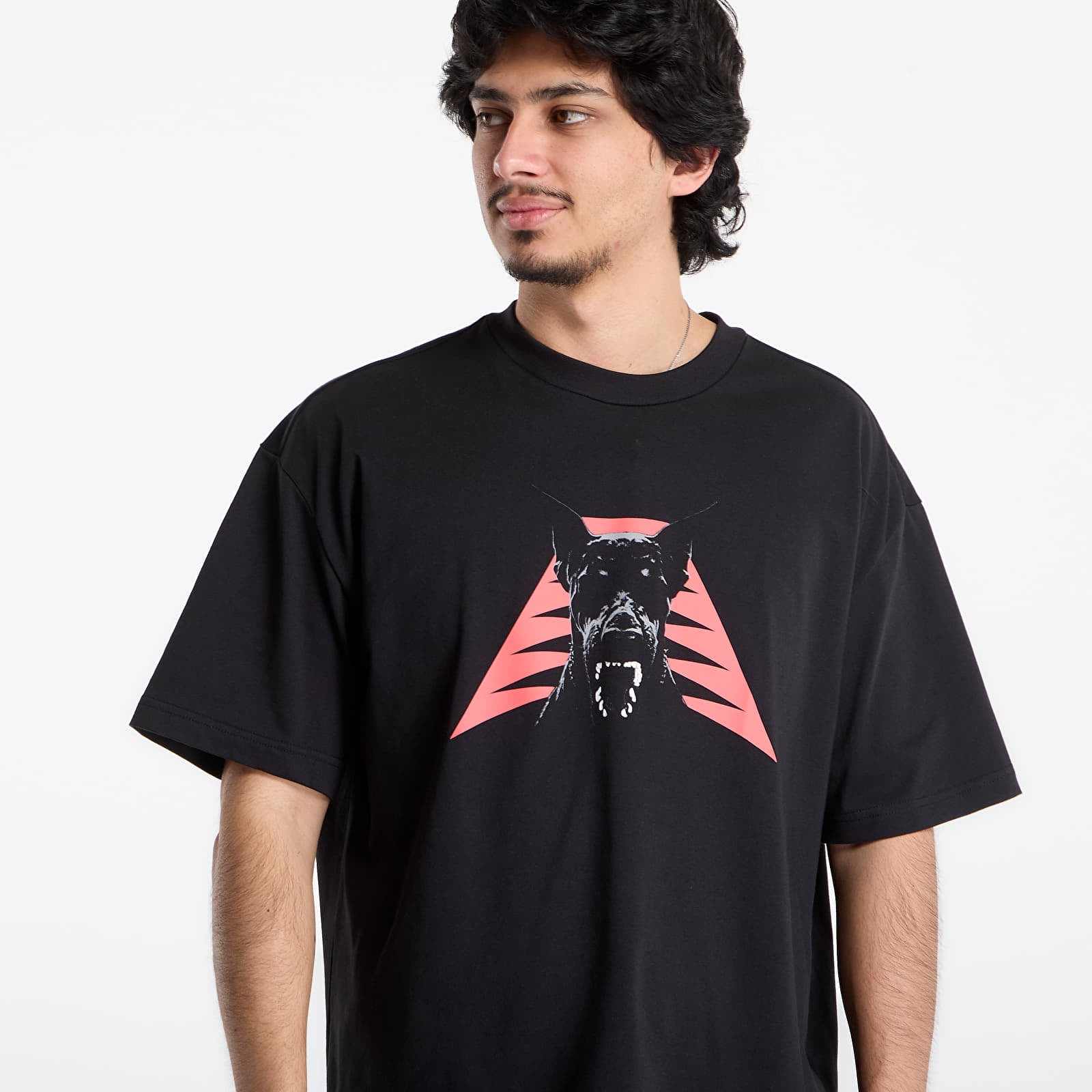 Pánská trička adidas Anted Dawg Tee Black