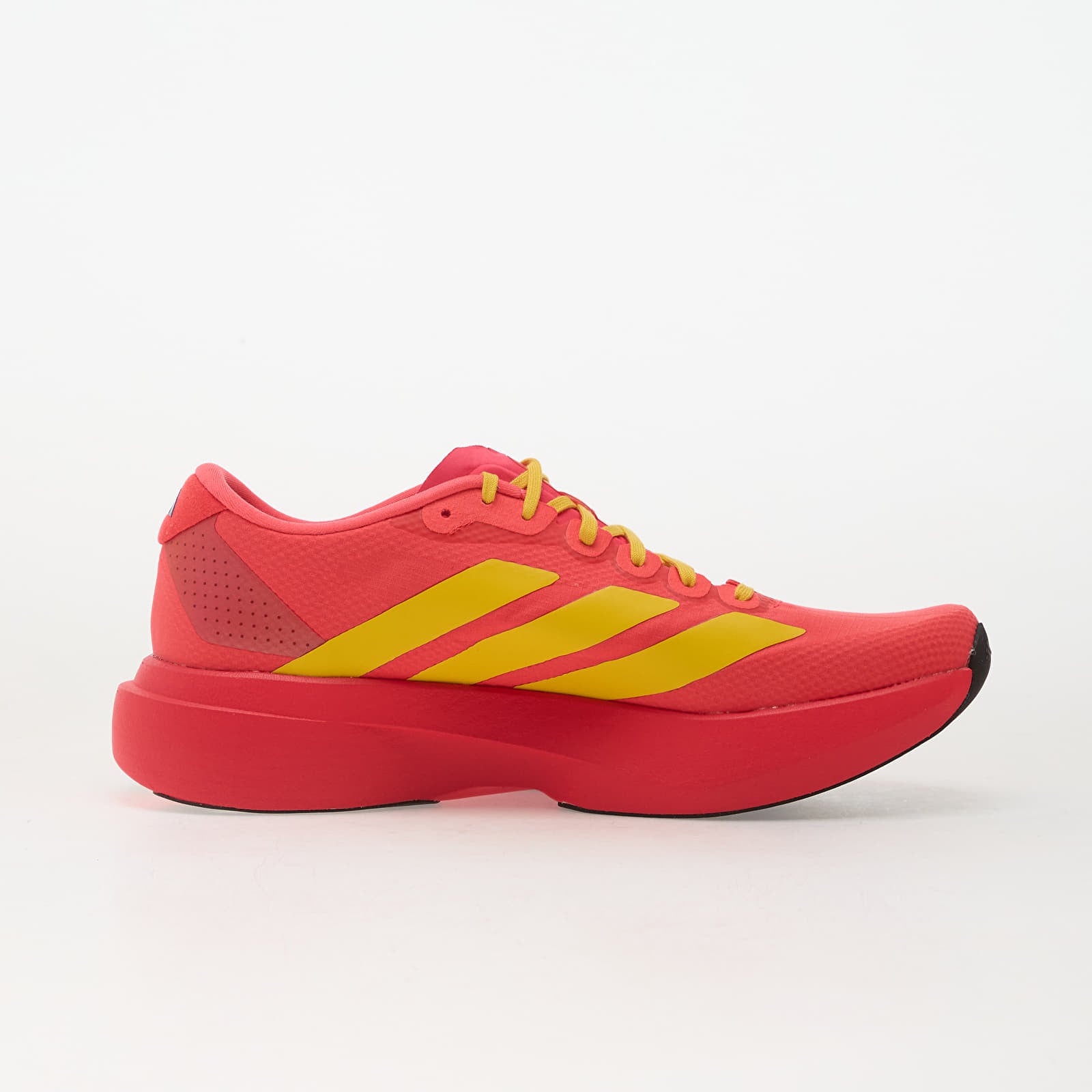 Pánske tenisky a topánky adidas Adizero Evo Sl Lucid Red/ Bold Gold/ Semi Lucid Blue