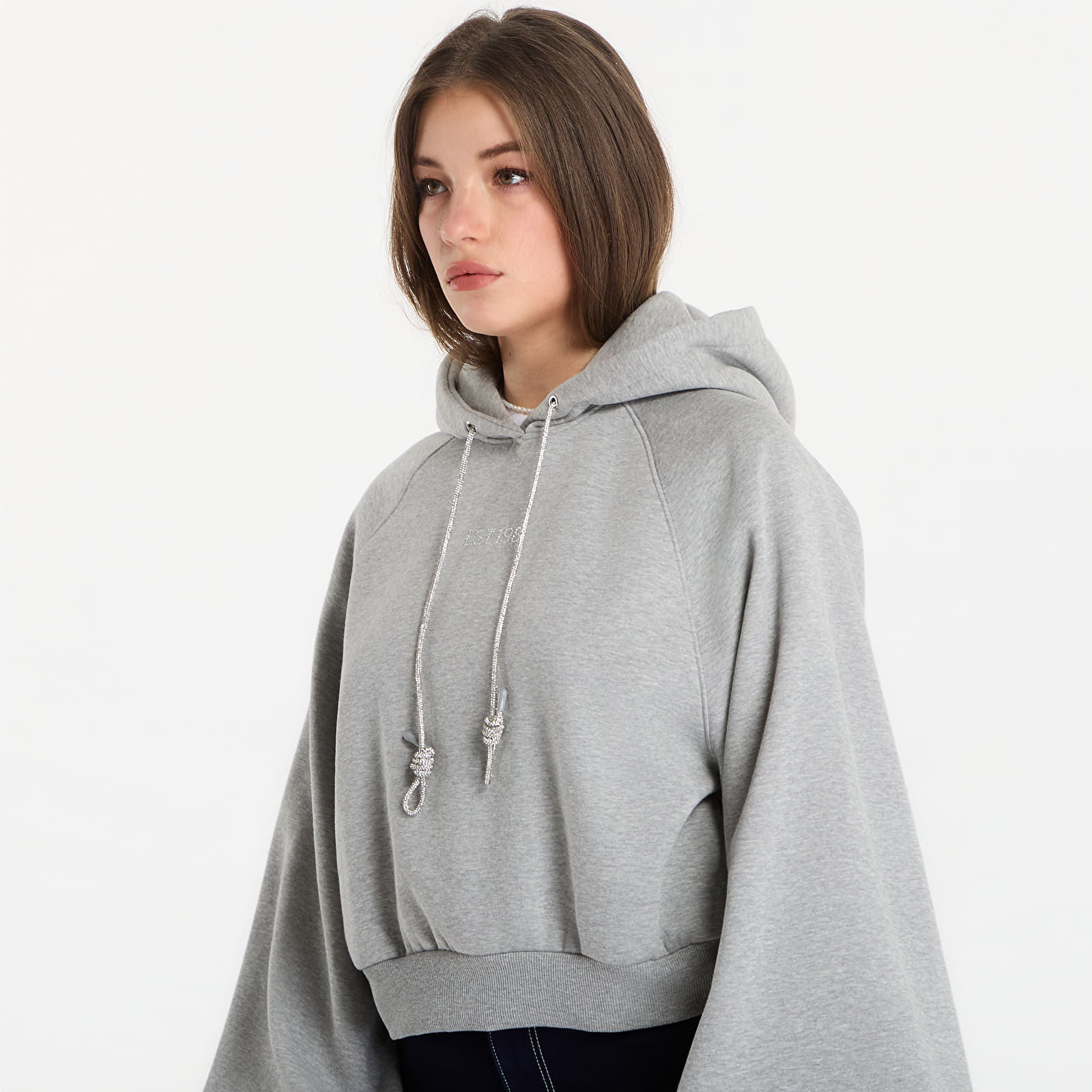 Džemperiai su gobtuvais ir džemperiai Guess Jeans Hooded Krystal Sweatshirt Marble Heather