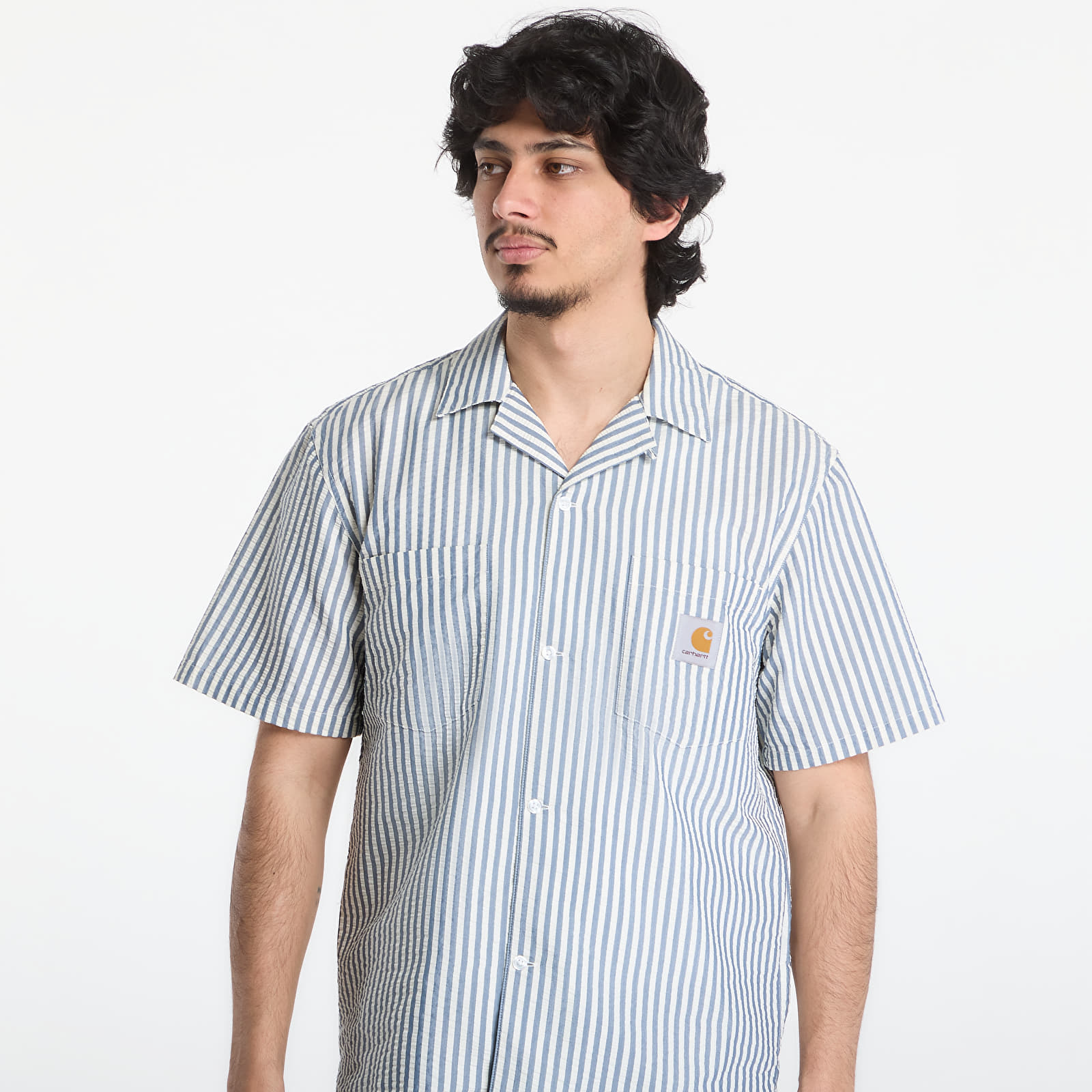 Meeste särgid Carhartt WIP S/S Leavel Shirt UNISEX Leavel Stripe/ Blue River/ Wax