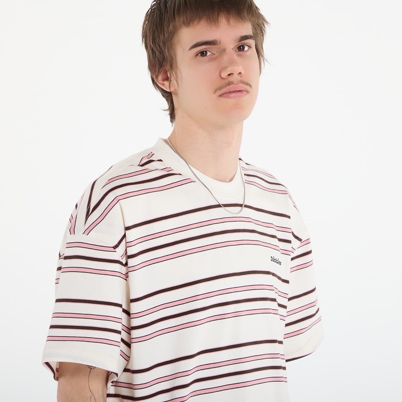 Men's T-shirts Dickies East Liberty Stripe Ss Tee Egret