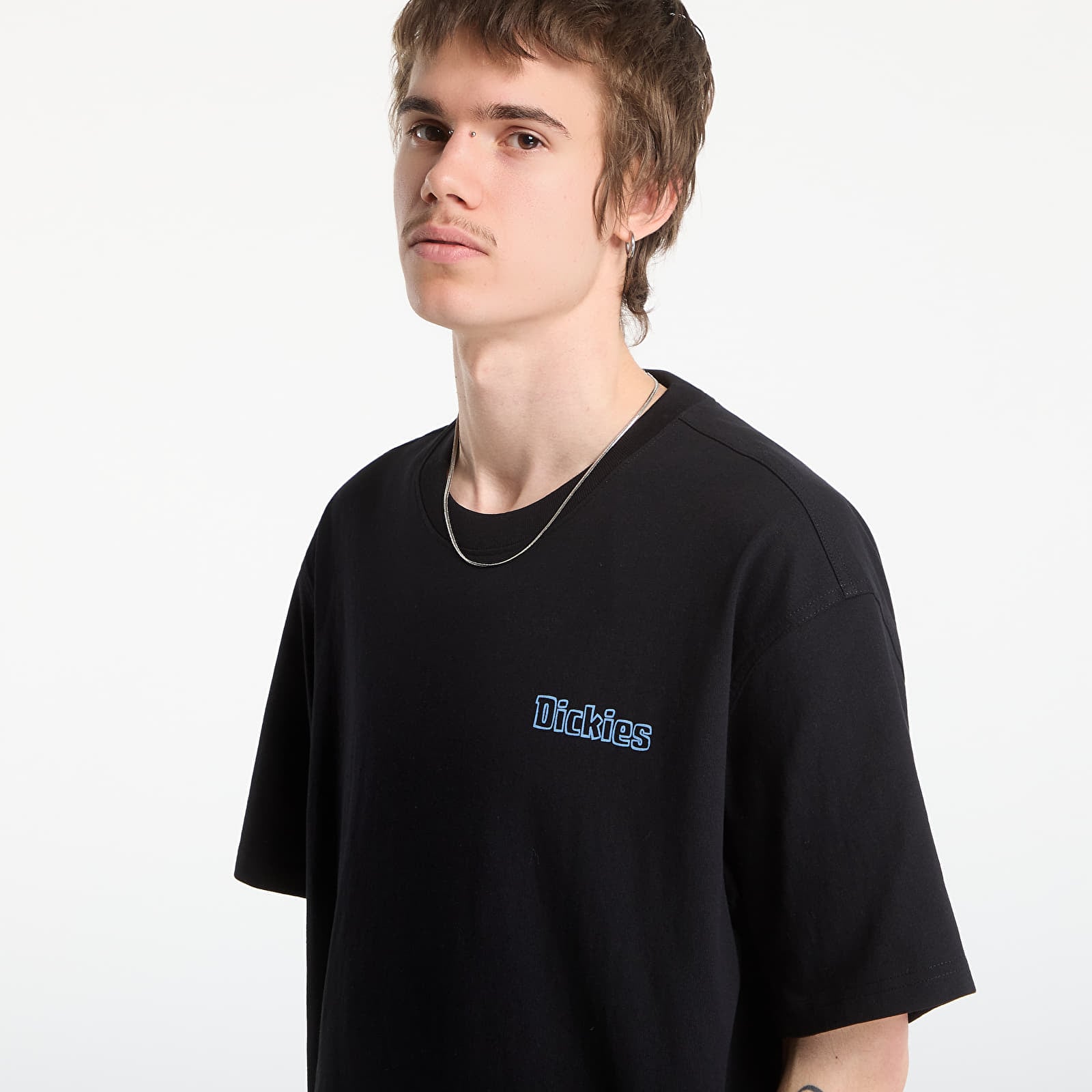 T-Shirts Männer Dickies Fairlawn Ss Tee Black