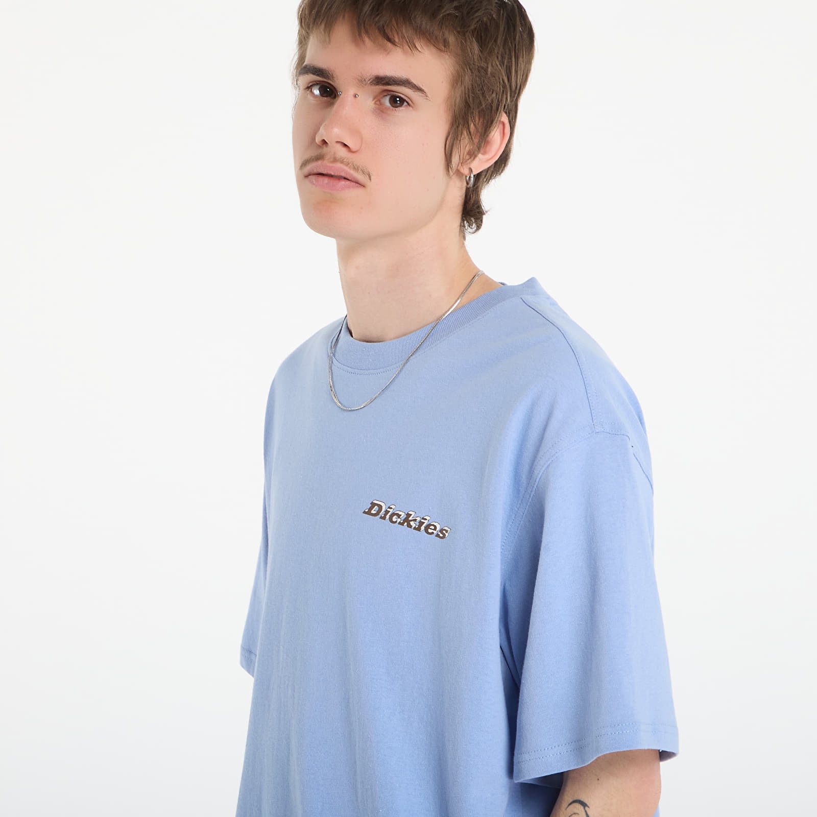 Men's T-shirts Dickies Thornville Ss Tee Endless Sky