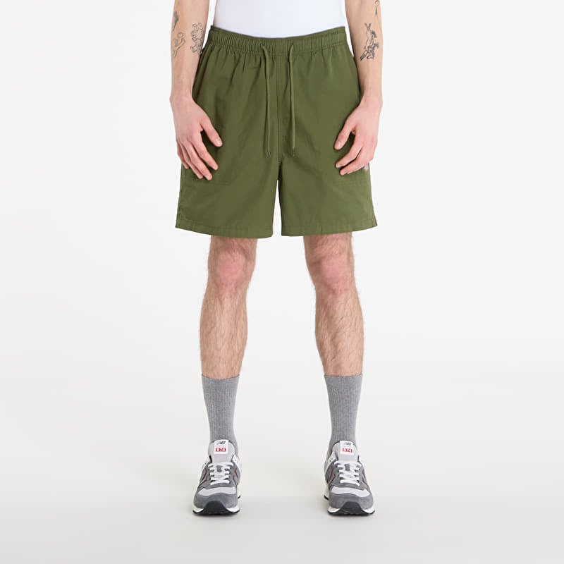 Šortai Dickies Pelican Rapids Cypress