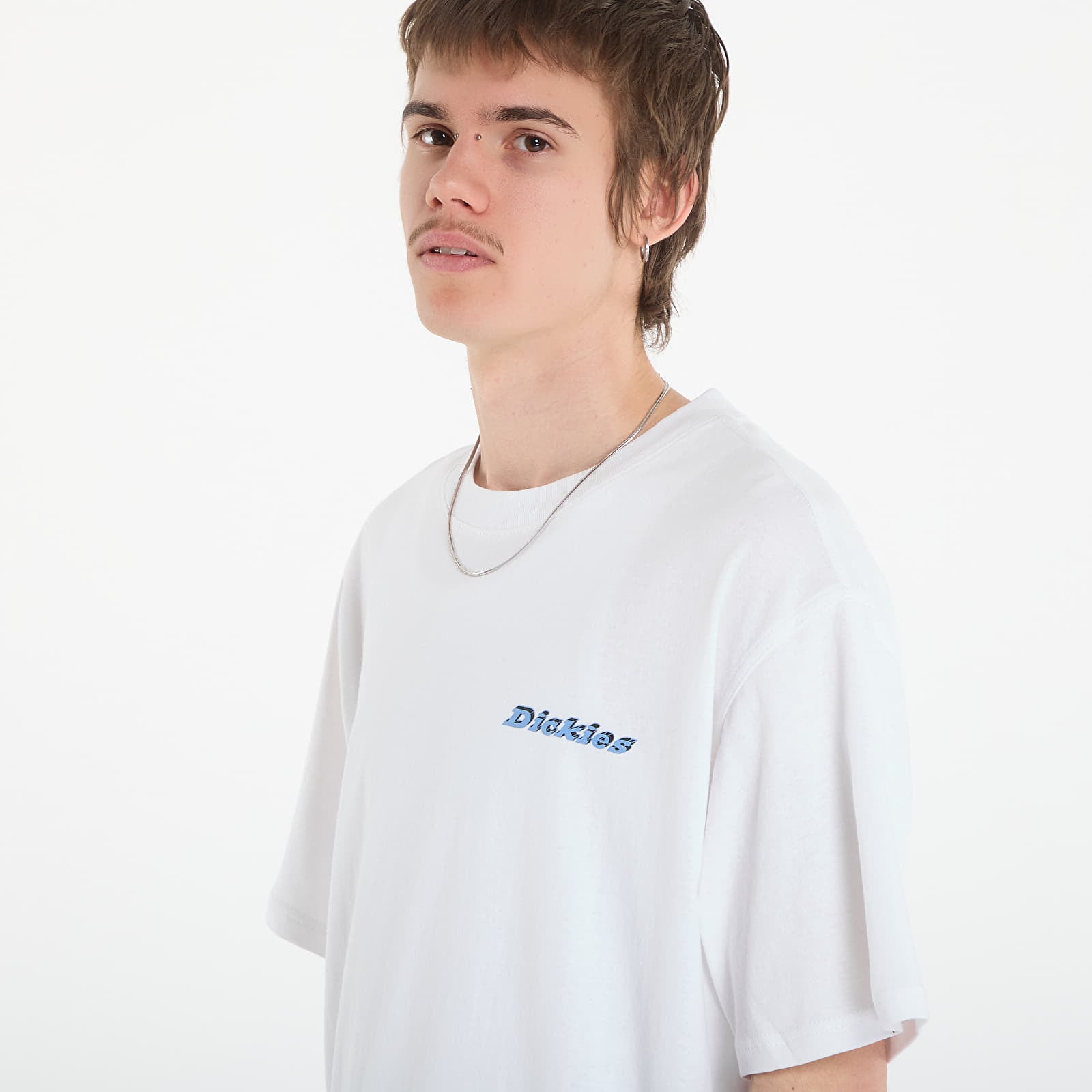 Pánske tričká Dickies Thornville Ss Tee White