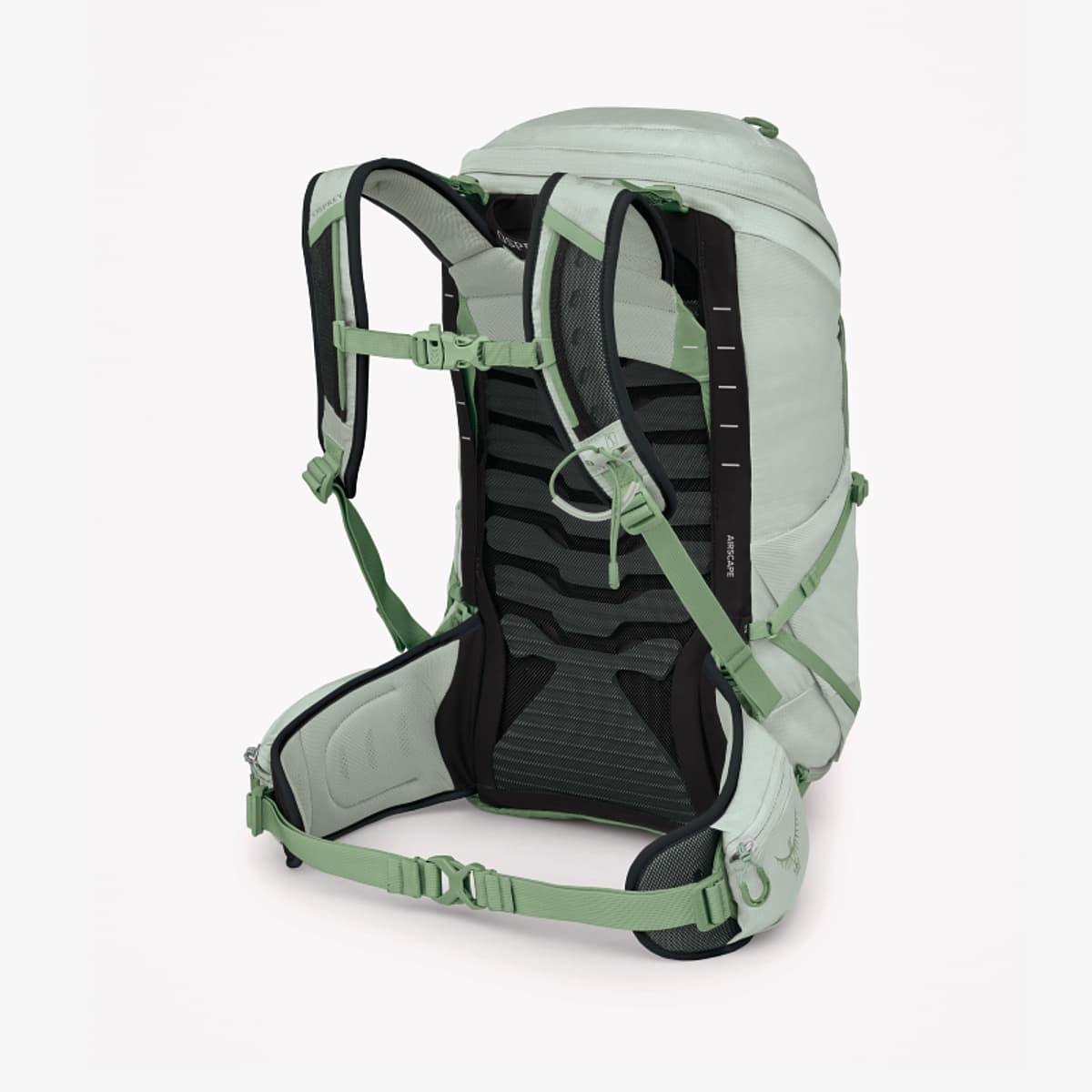 Men's backpacks Osprey Tempest 26 Frosty Mint Green/ Botanica