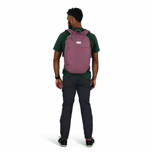 Раница Osprey Arcane Large Day Purple Garnet Heather