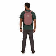 Osprey Arcane Small Day Purple Garnet Heather