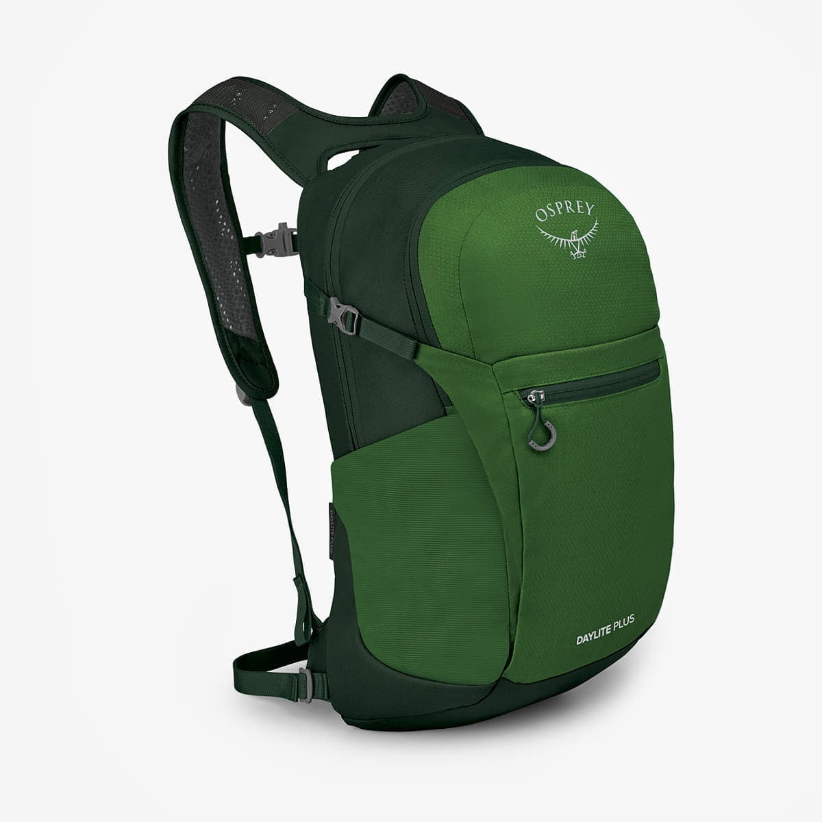 Раница Osprey Daylite Plus Green Belt/ Green Canopy Universal
