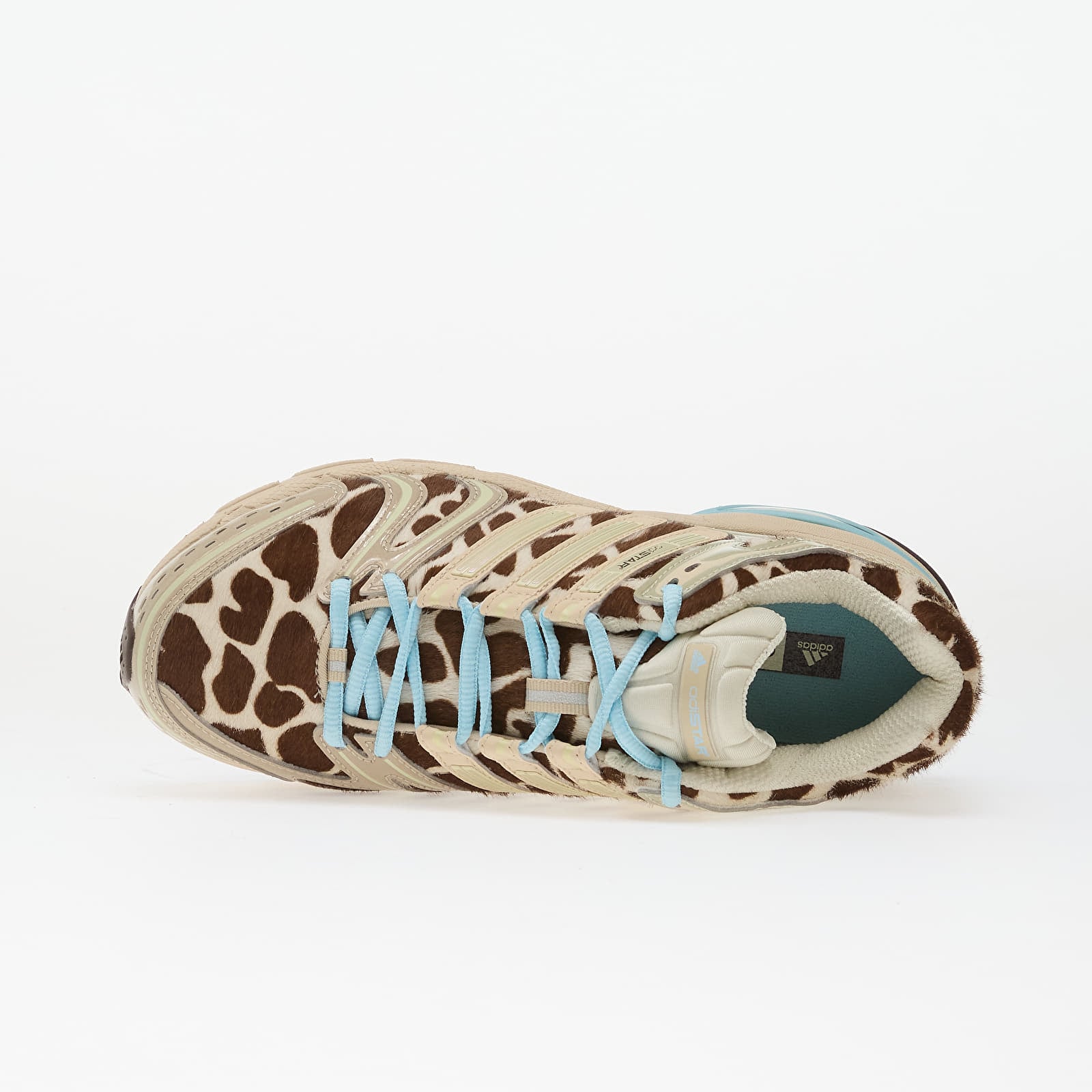 Dámske topánky a tenisky adidas Adistar Control 5 W Crli/ Icgome/ Ice Blue