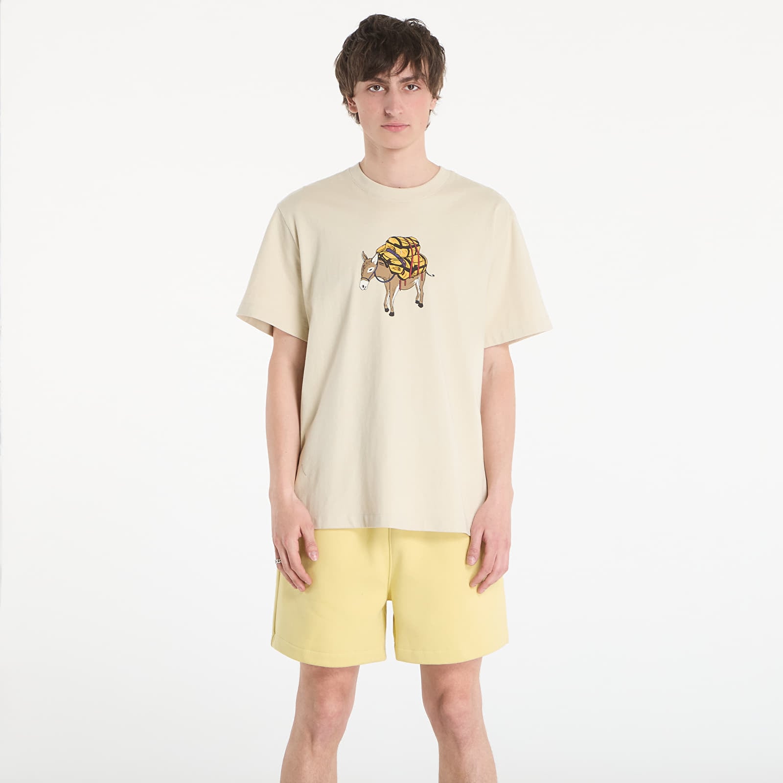 T-Shirts Männer The North Face M Donkey Taxi Relaxed Short Sleeve Tee Graphic Desert Stone