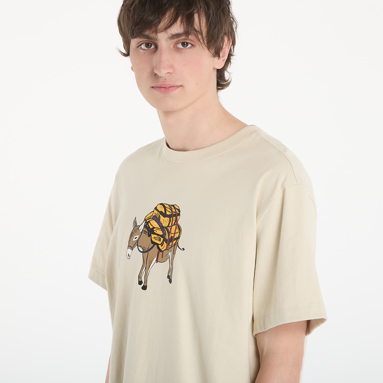 T-Shirts Männer The North Face M Donkey Taxi Relaxed Short Sleeve Tee Graphic Desert Stone