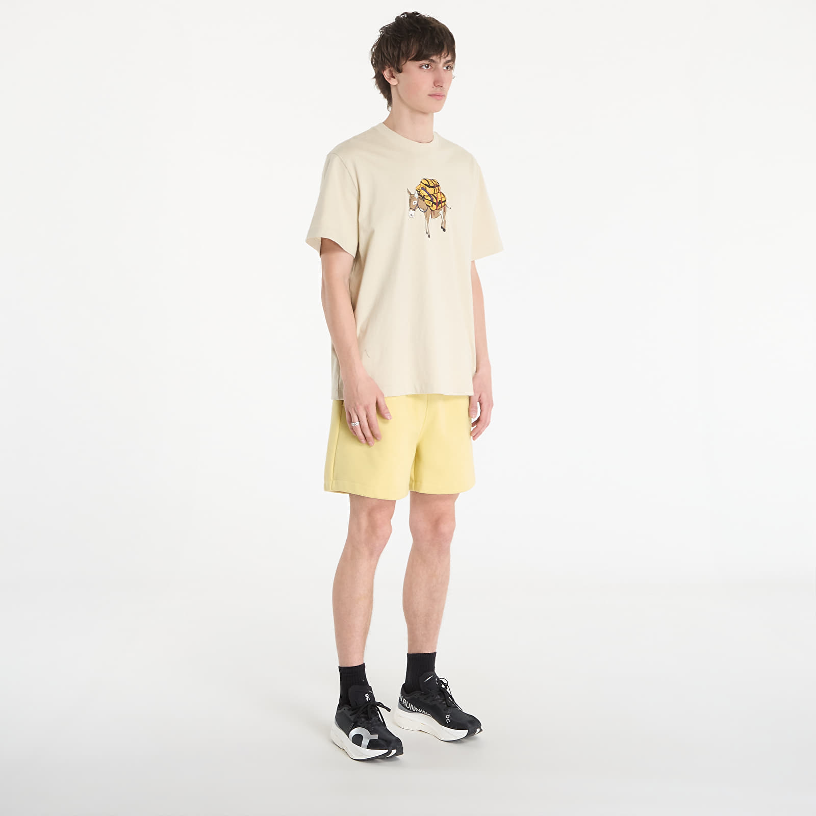 T-Shirts Männer The North Face M Donkey Taxi Relaxed Short Sleeve Tee Graphic Desert Stone