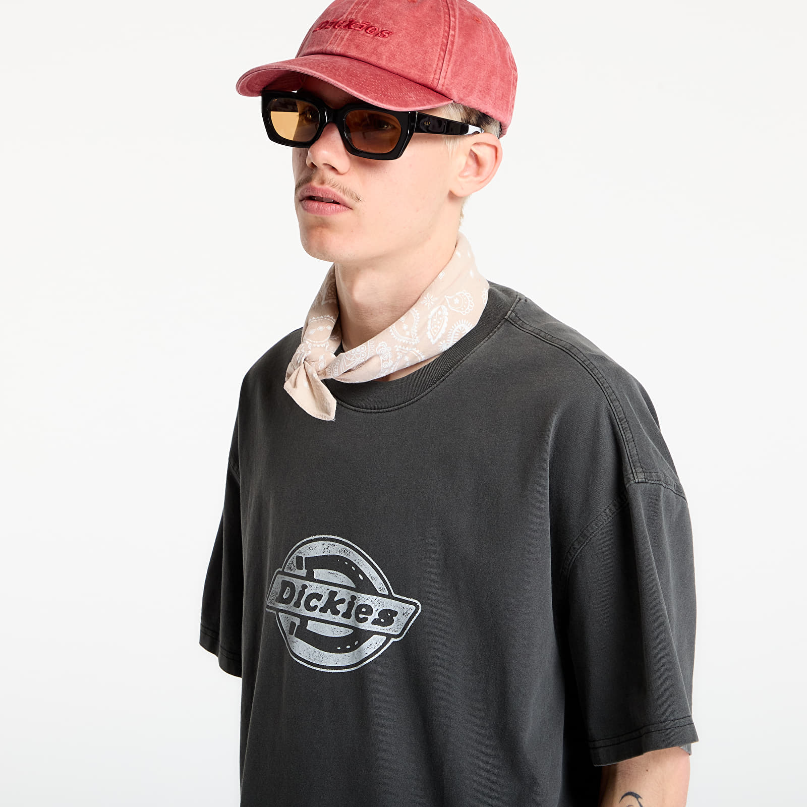 T-shirts för män Dickies Plainville Short Sleeve Tee Black